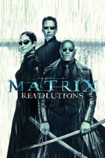 Movie poster: The Matrix Revolutions