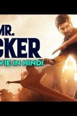 Movie poster: MR.HACKER