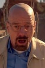 Movie poster: Breaking Bad Season 5 Episode 14
