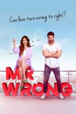 Movie poster: Mr. Wrong Season 1 Episode 16