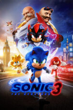 Movie poster: Sonic the Hedgehog 3 (2024)